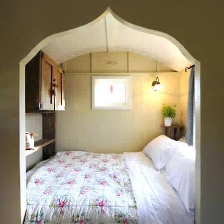 Beech Shepherds Hut 요크 외부 사진