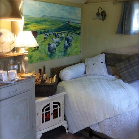 Beech Shepherds Hut 요크 외부 사진