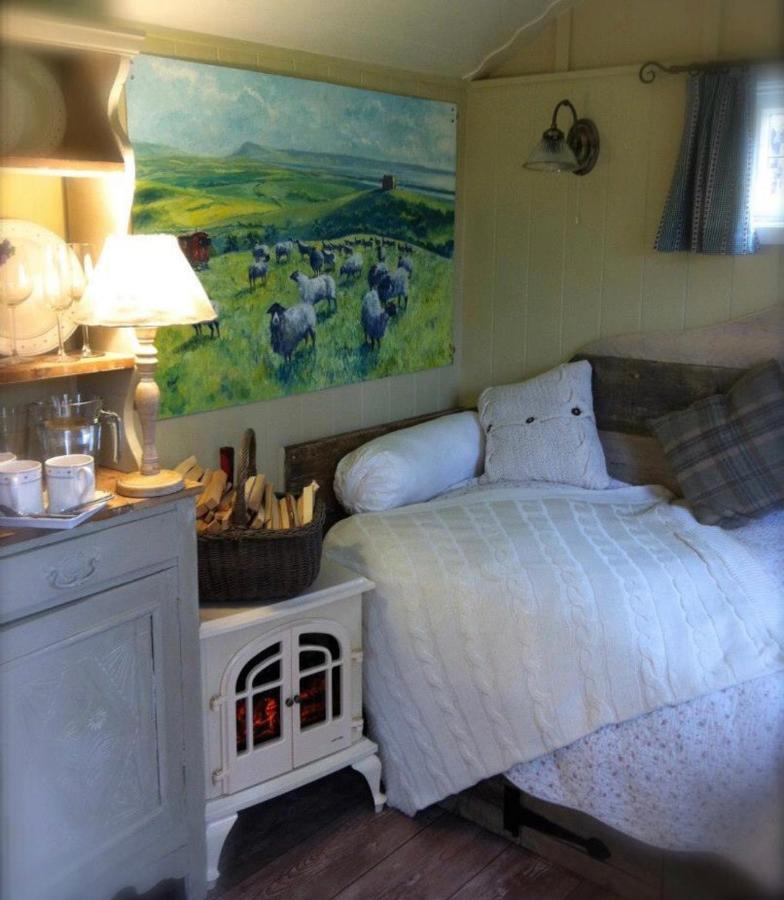 Beech Shepherds Hut 요크 외부 사진